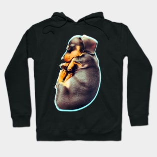 Puppy power - Cava Hoodie